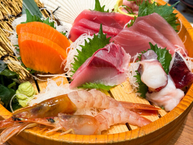 お食事処 ようちゃん、新しい息吹とともに再始動のお知らせ